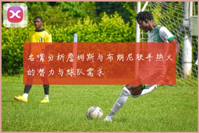 名嘴分析詹姆斯与布朗尼联手热火的潜力与球队需求